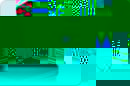 autonet.jpg