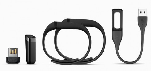 Flex-Fitbit-Pack