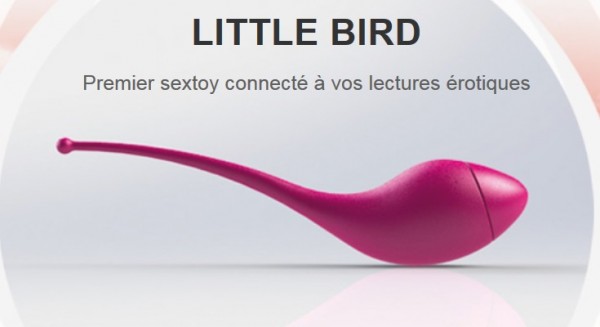 b-sensory-Little-Bird