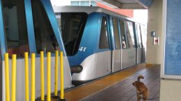 Miami-Dade public transport transit