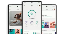 FitBit App
