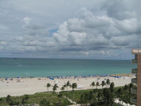 sagamore_miami_beach.jpg