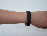 Flex-Fitbit-100_0827