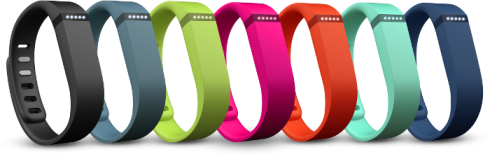 Flex-Fitbit-Colors2