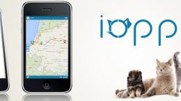 IOPP gps pour animaux domestiques