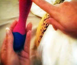 OhMiBod BlueMotion