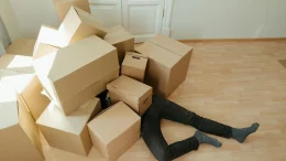 demenage