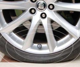 Fobo Tire
