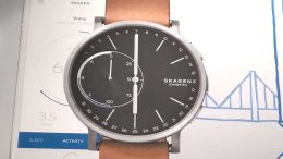 Skagen Hybrid Smartwatch