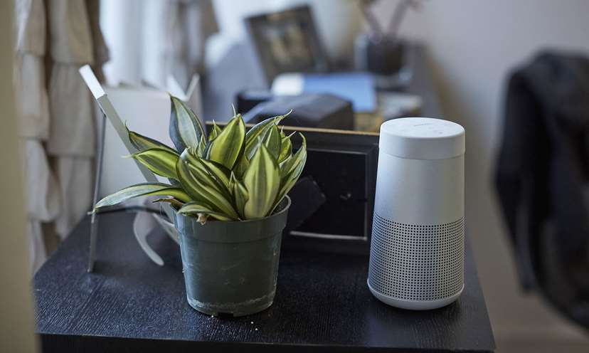 Bose Revolve