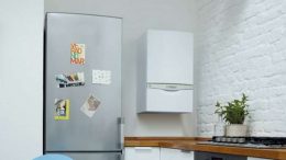 Vaillant ecoTEC exclusive Green iQ