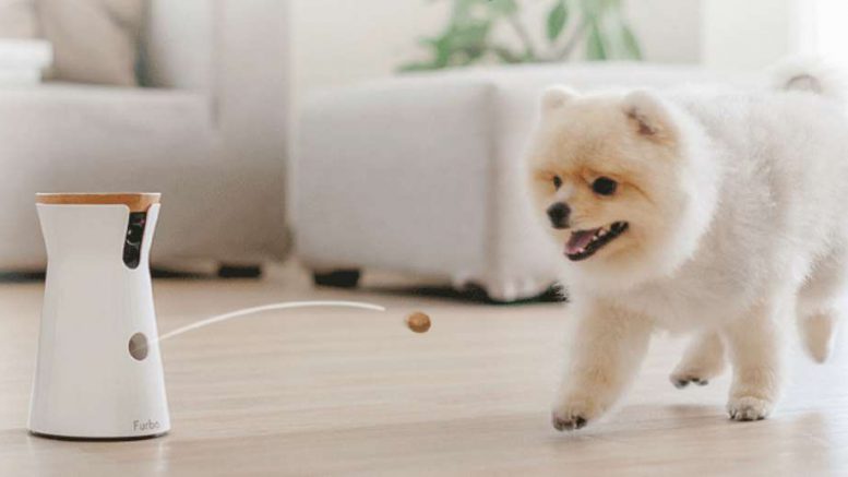 furbo distributeur de croquette connecté pour chien