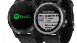 Garmin fēnix 5 Plus spotify