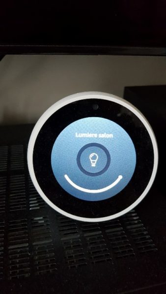 Echo spot pilotage antalia A70