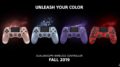 Dualshock 2019