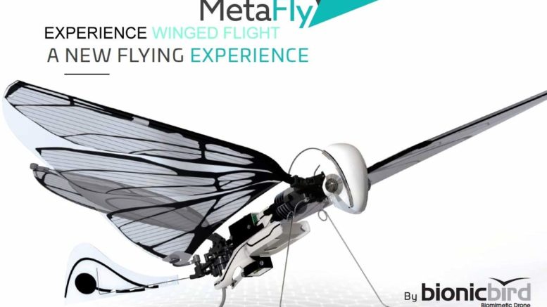 Metafly