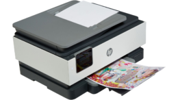 HP Office Jet Pro 8024