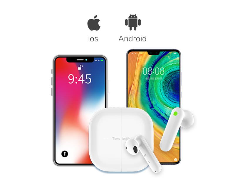 Timekettle M2