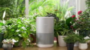 Smartmi P1 Purifier