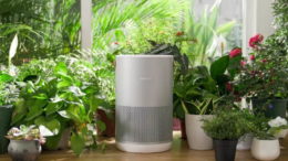 Smartmi P1 Purifier