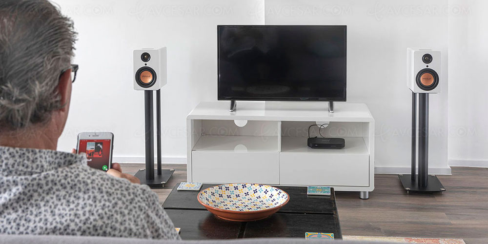 Mitchell Acoustics Ustream One