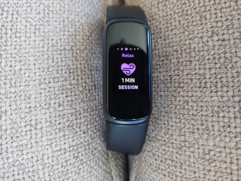 fitbit luwe