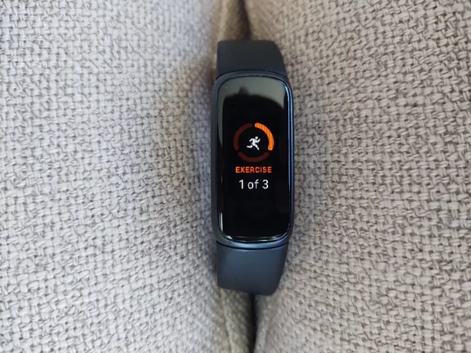 fitbit luwe
