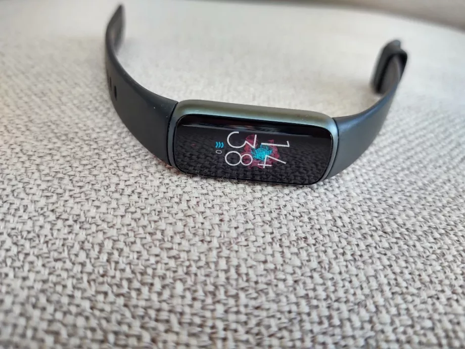 fitbit luwe