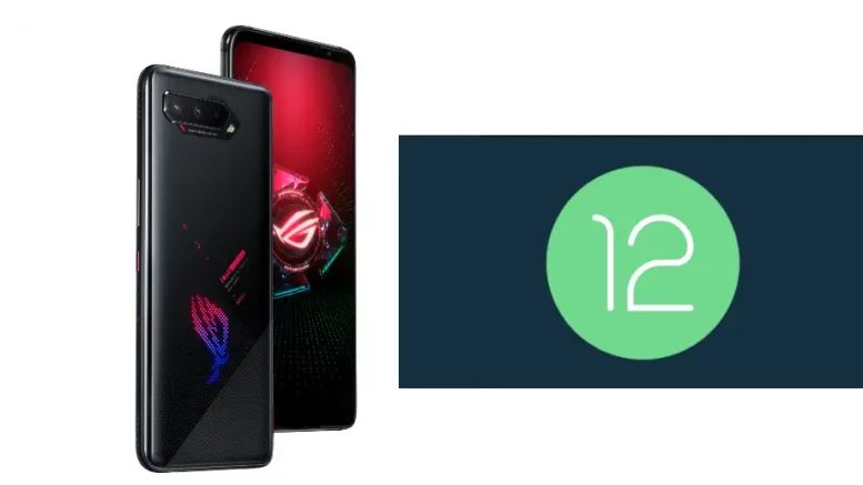 Zenfone 8