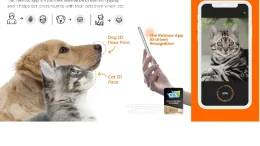 Petnow
