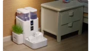 RealFountain