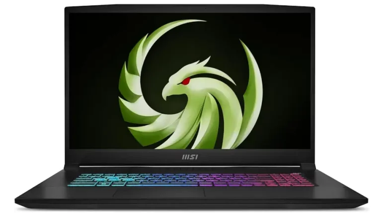 MSI Bravo 17 D7VEK-082FR