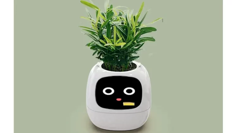 PLANTSIO