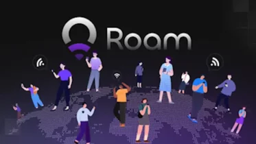 roam mesh
