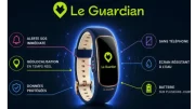Le Guardian