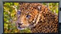Samsung - S99H TV OLED (1)