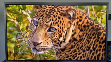 Samsung - S99H TV OLED (1)